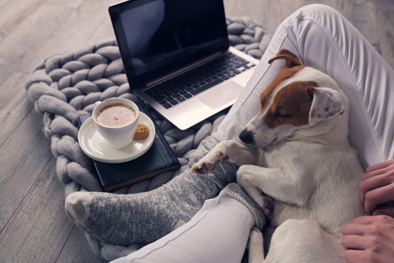 A cozy photo of a person cuddling with their puppy with a hot cup of cocoa, journal, and a laptop.