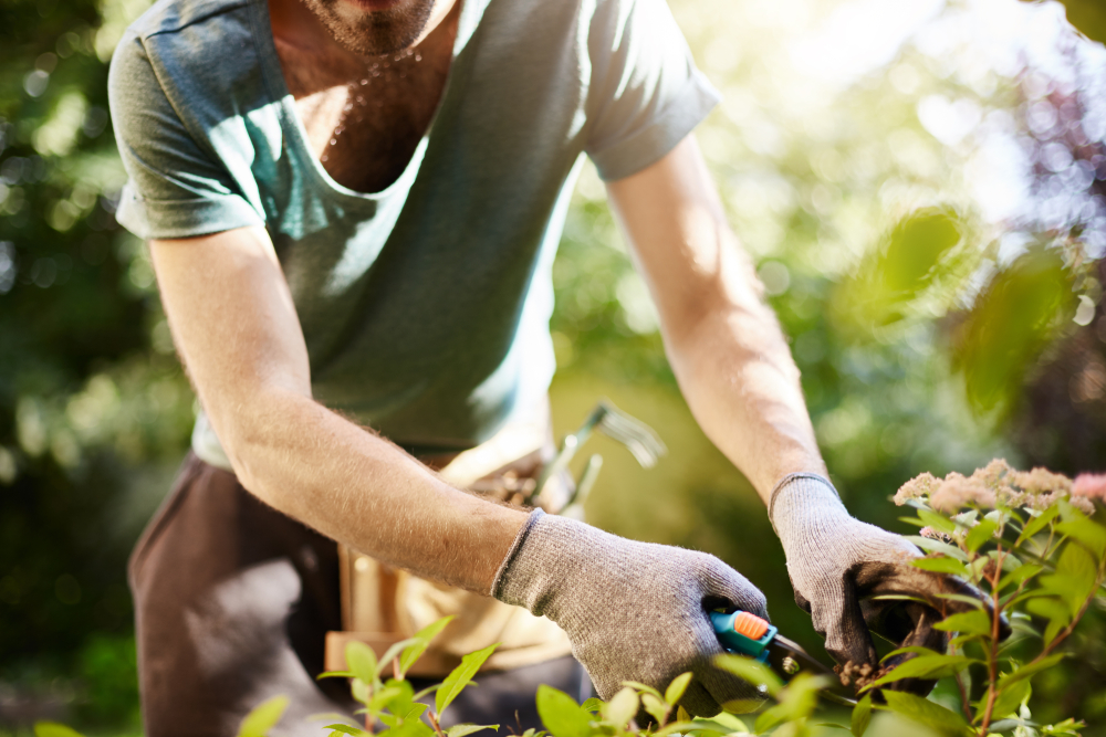 Man gardening